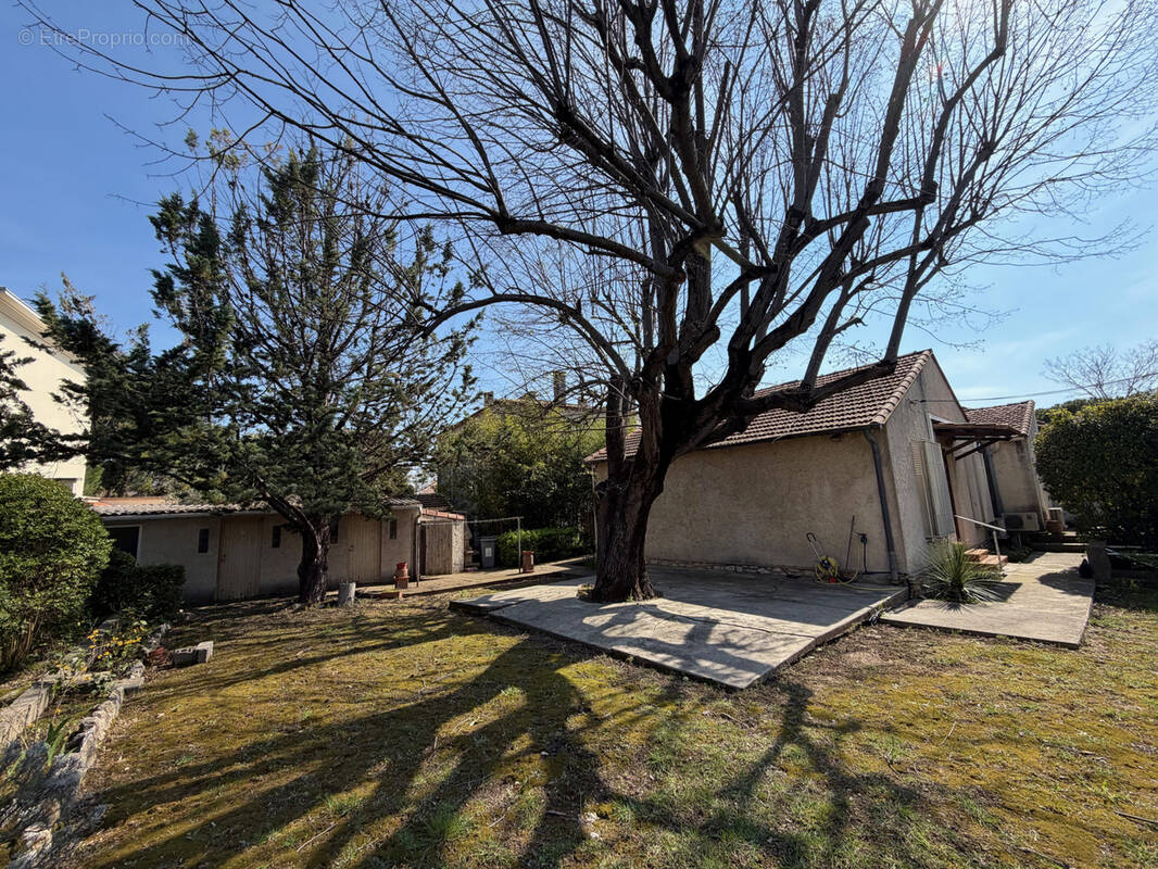 Maison à MONTPELLIER
