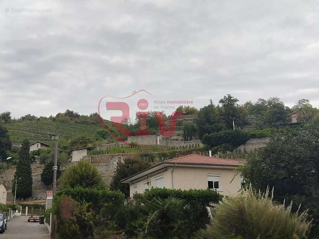 Commerce à CONDRIEU