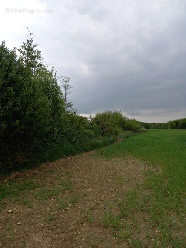 Terrain à COURTEMAUX