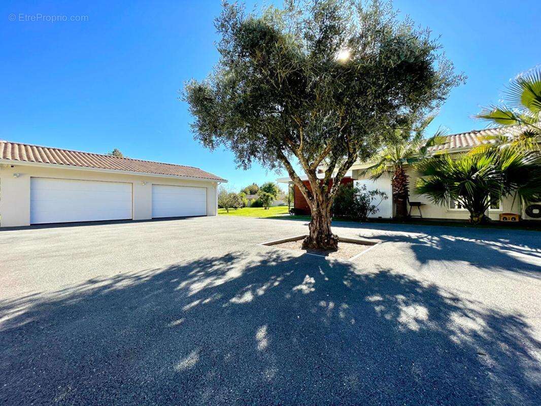 Superbe Villa Cestas 5 pièce(s) 252 m2 + garages + piscine - photo 17
