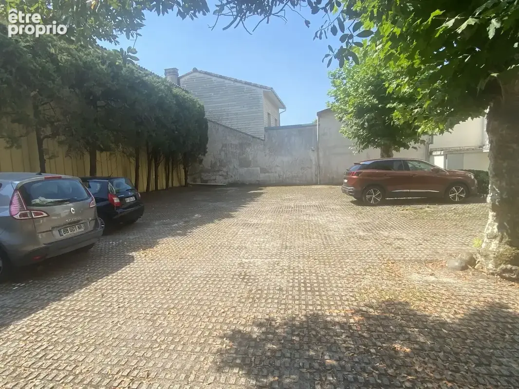 IMG3459