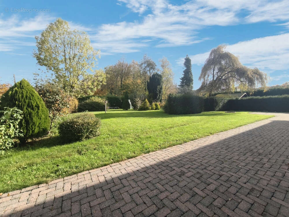 Maison à AUBIGNY-EN-ARTOIS