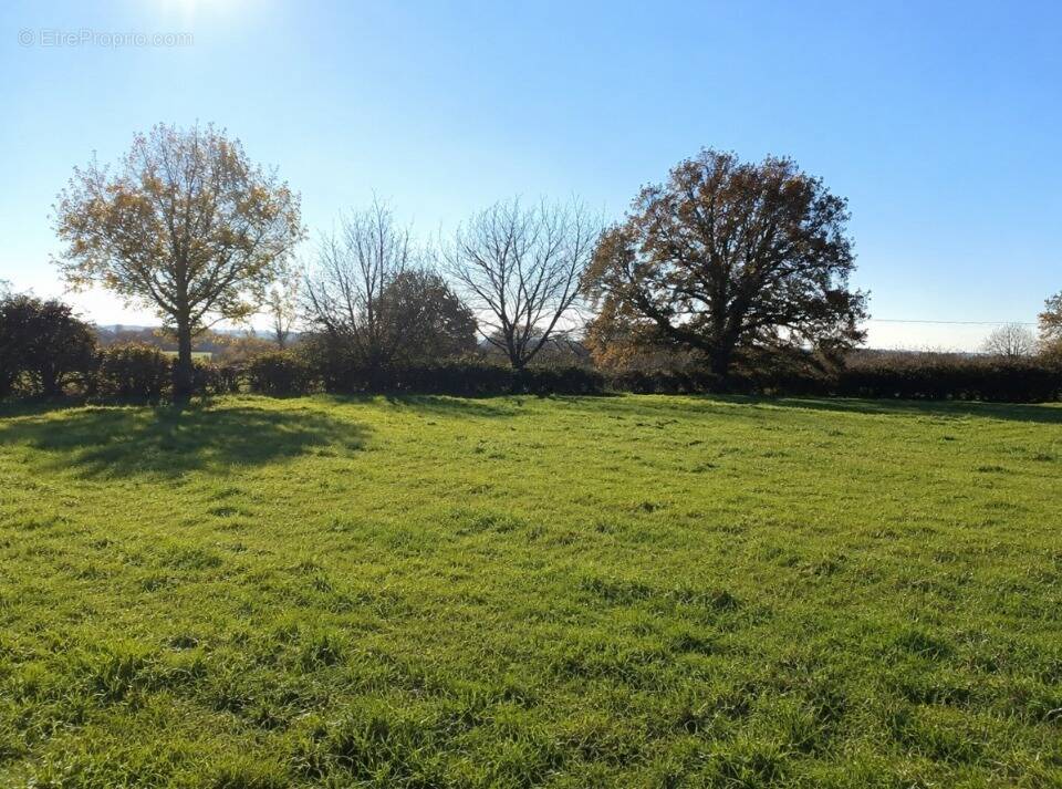 Terrain à COURCEBOEUFS