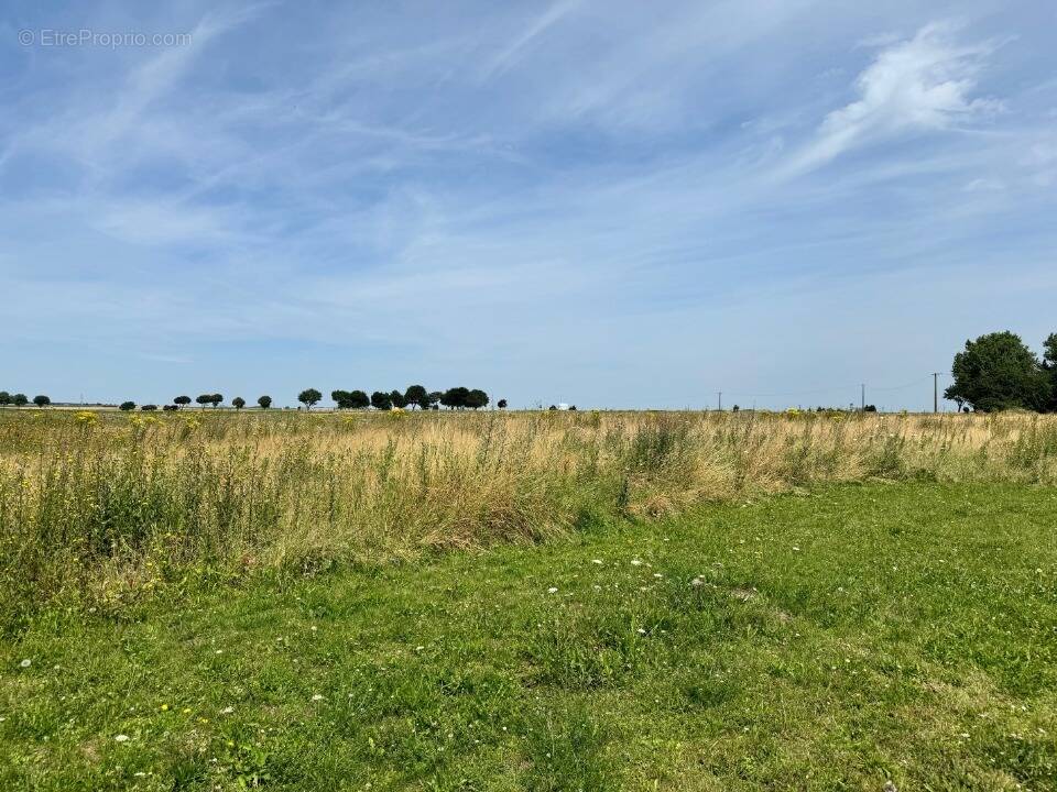 Terrain à VITRY-EN-ARTOIS