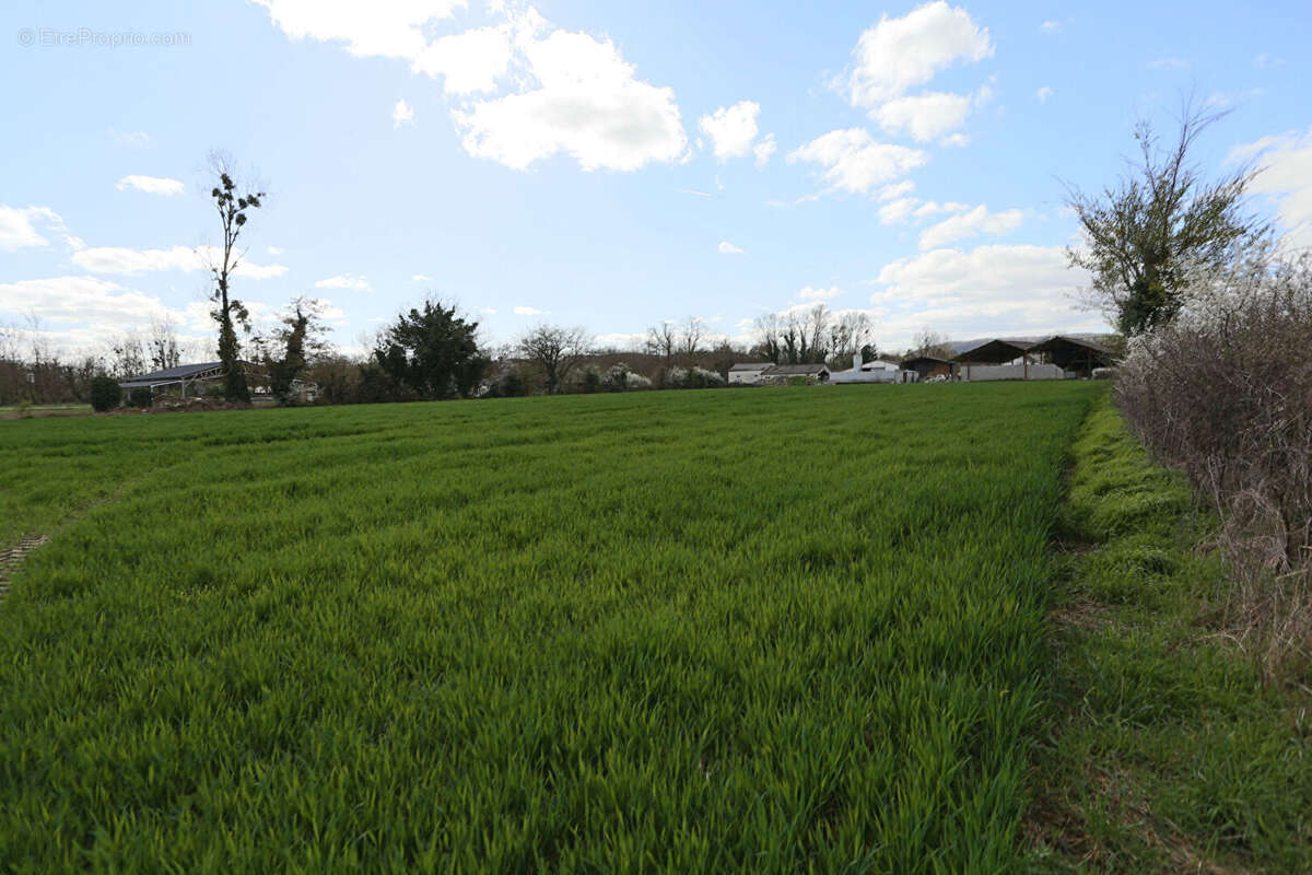 Terrain à SAINT-GERMAIN-DE-SALLES