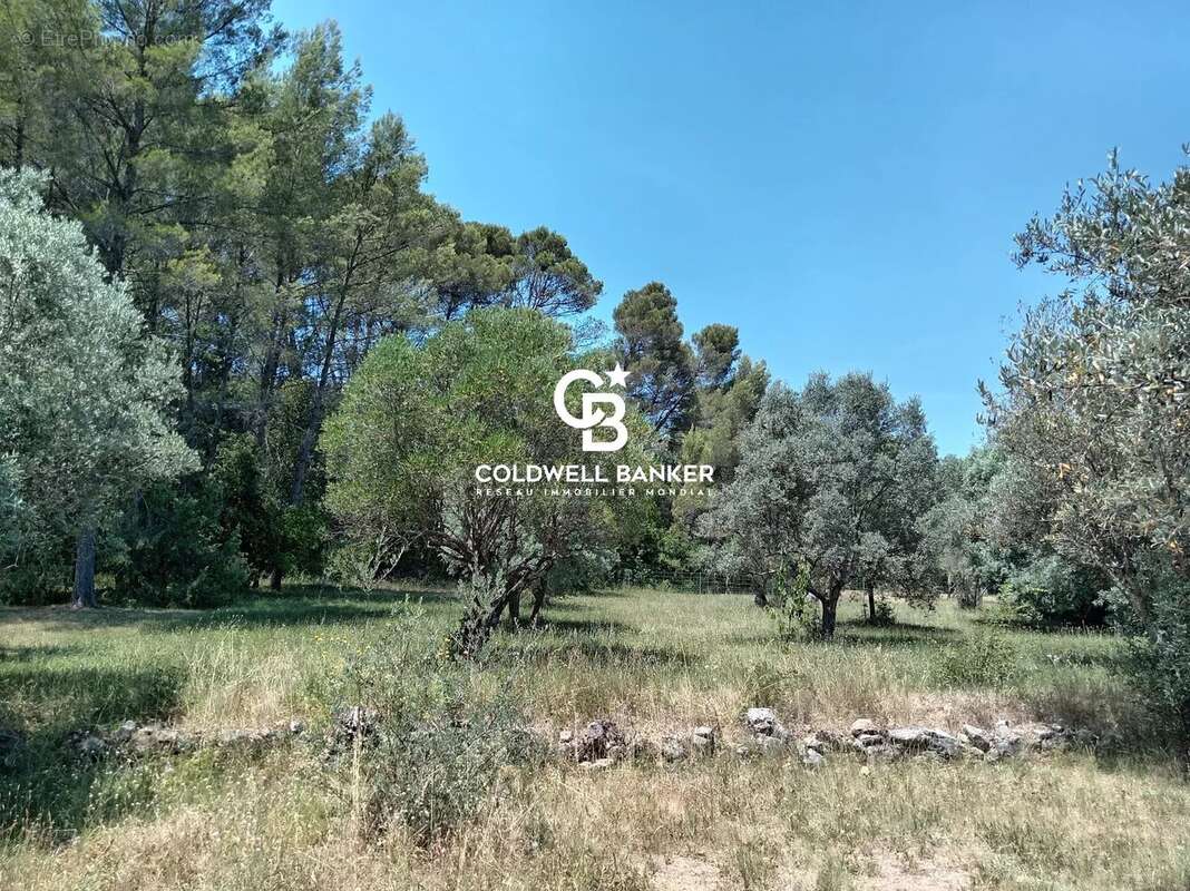 Maison de charme de plain-pied au cœur d'un parc d'oliviers de 5 030 m² - photo 8