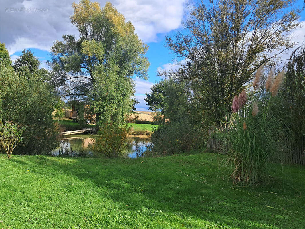 Photo 7 - Appartement à MARIGNY-LES-REULLEE