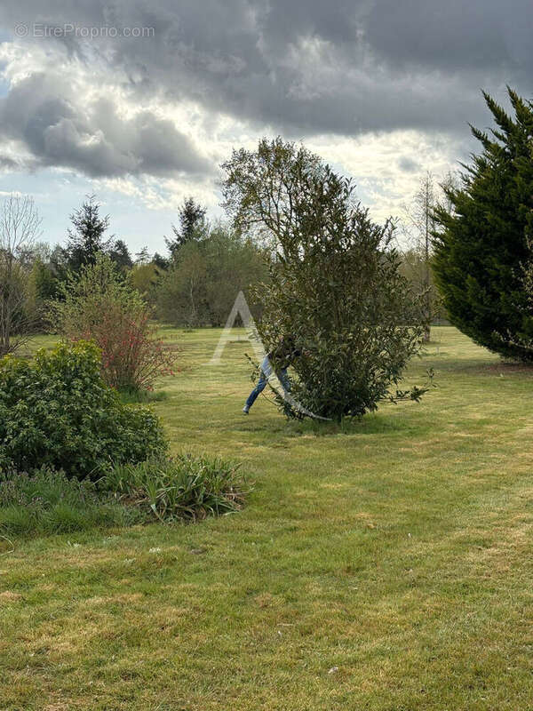 Maison à SURY-AUX-BOIS