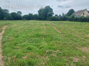 Terrain à HAUVILLE