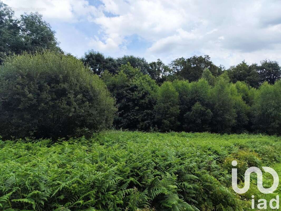 Photo 4 - Terrain à SAINT-JACUT-LES-PINS