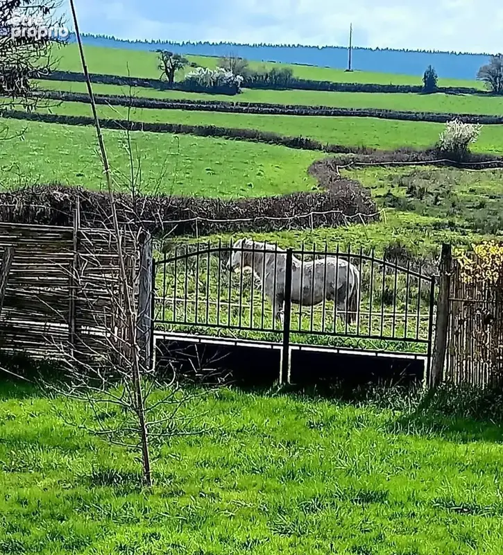 À vendre : maison de caractère avec B&B près d’Autun - photo 52
