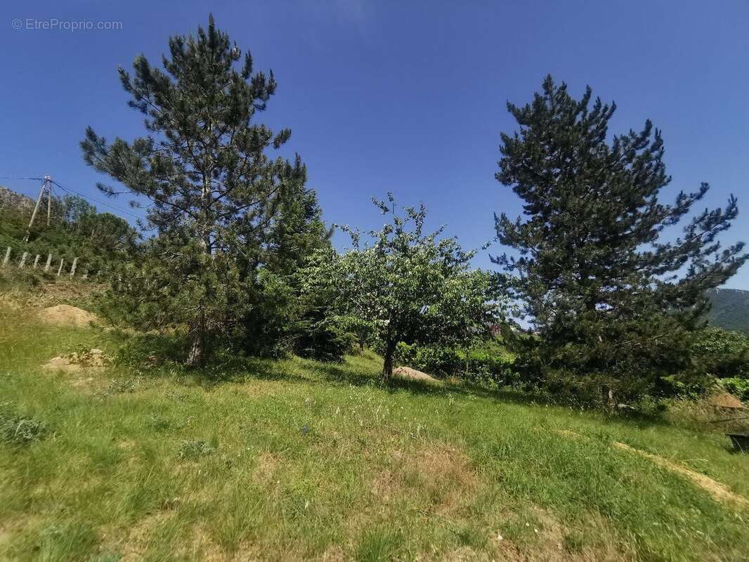 Terrain à bâtir Mostuejouls (12720) - photo 11