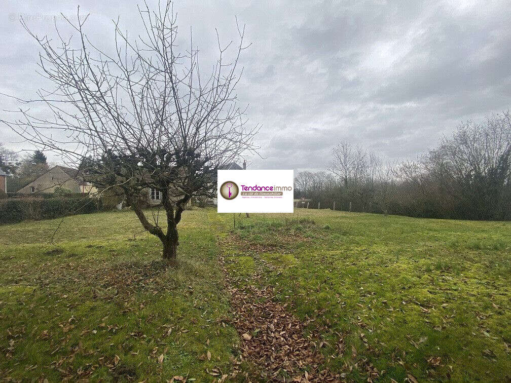 Maison à MORTAGNE-AU-PERCHE