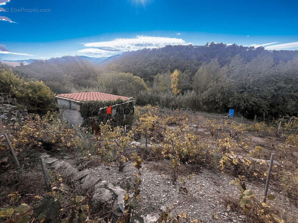 Terrain à COLLIOURE