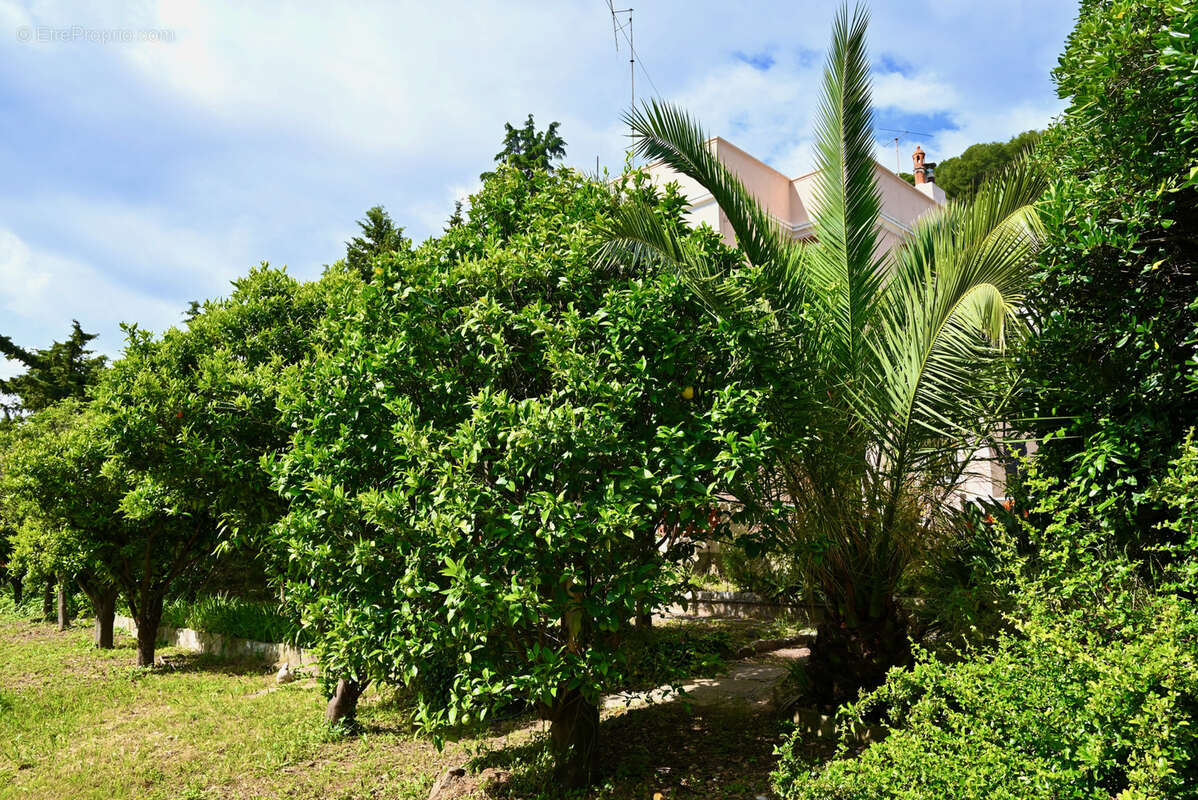 Maison à SAINT-LAURENT-DU-VAR