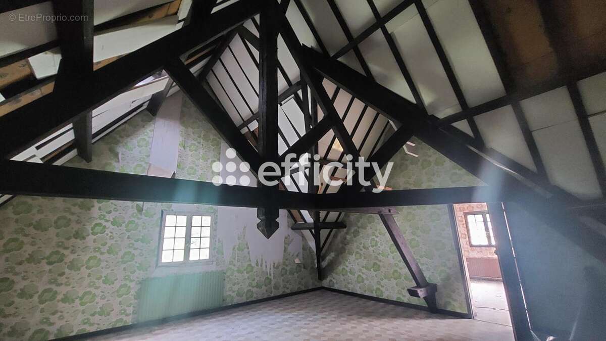 Maison 314 m² à Eysines  - photo 6