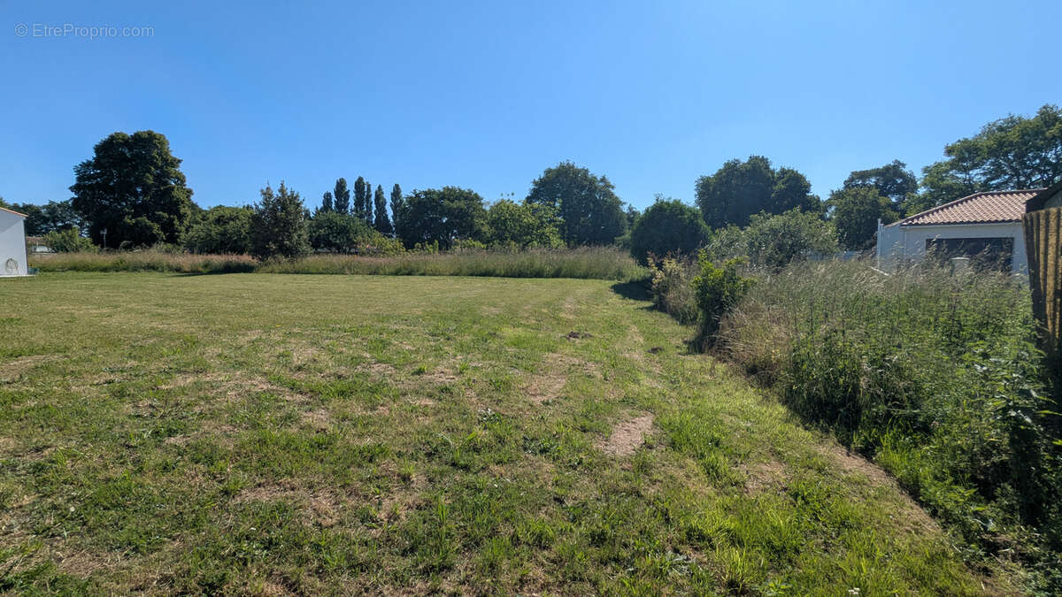 Terrain à ARTHON-EN-RETZ