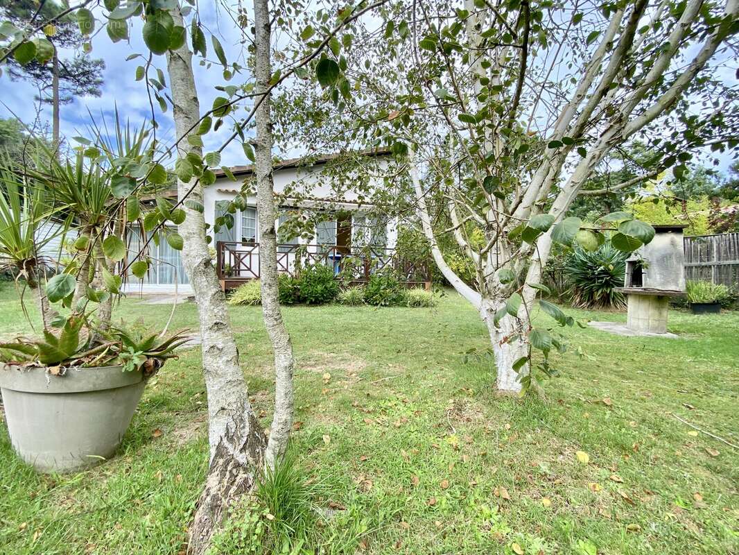 Maison 60 m² à Lege-Cap-Ferret  - photo 5