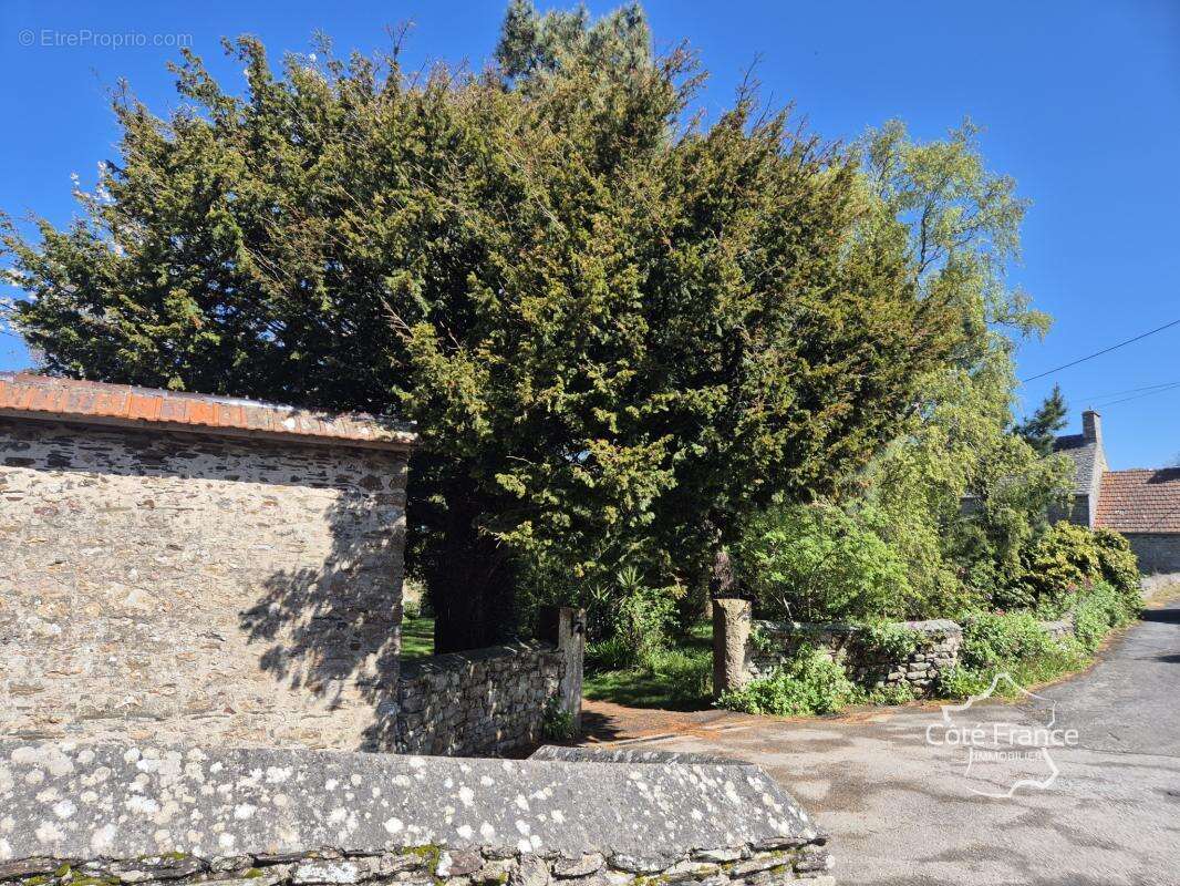 Maison à BRETTEVILLE