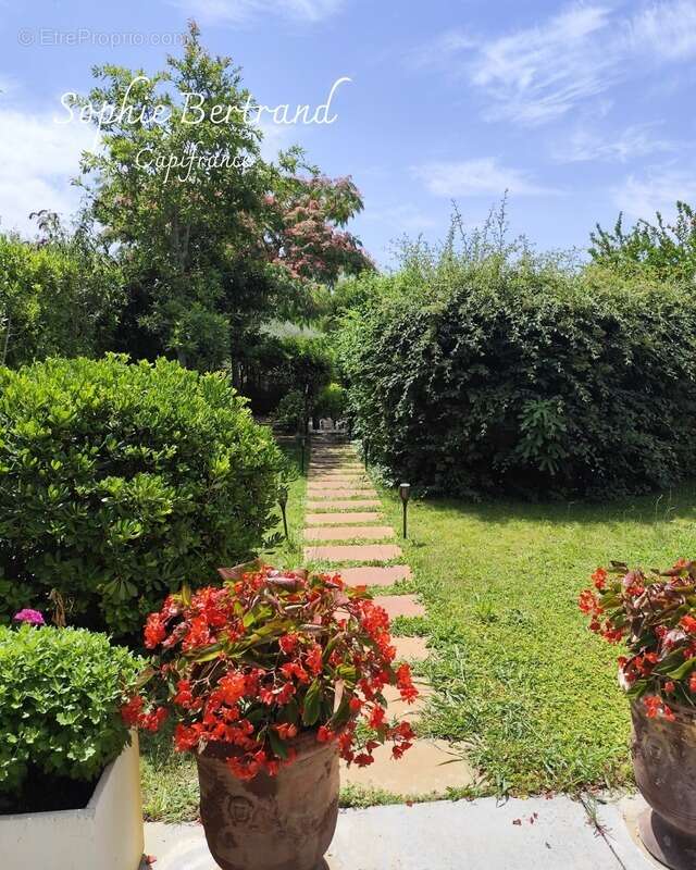 Maison à CHATEAUNEUF-DU-RHONE