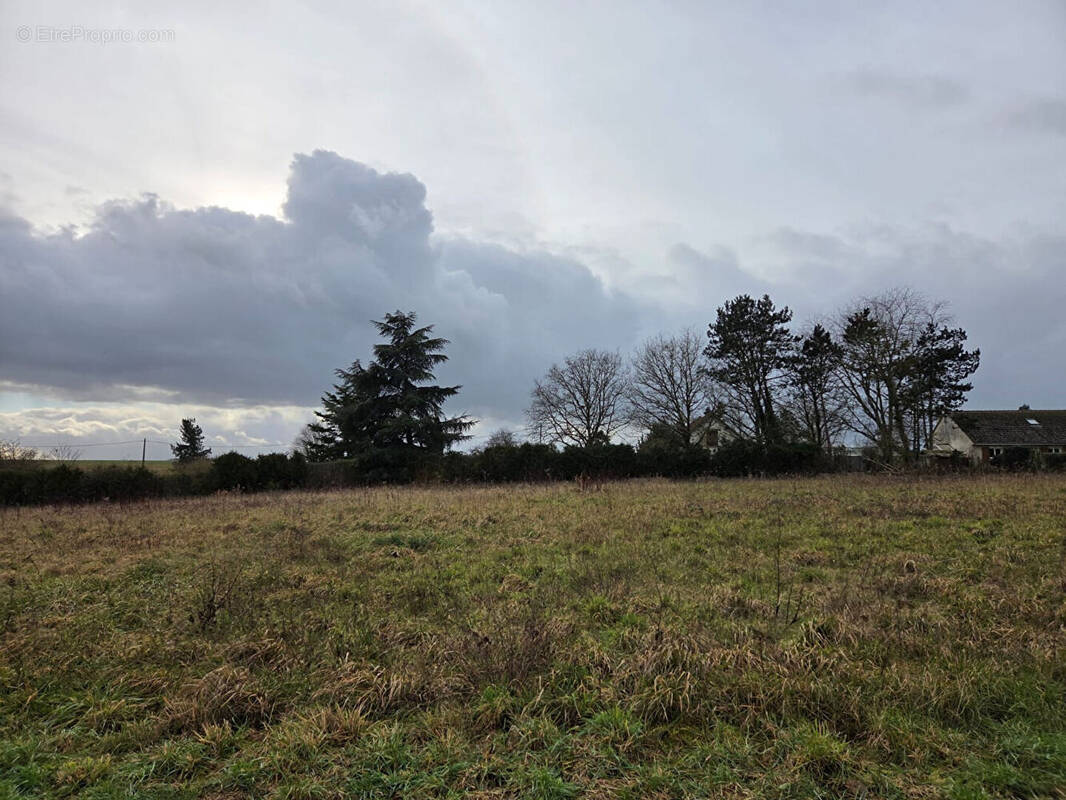 Terrain à TREMBLAY-LES-VILLAGES