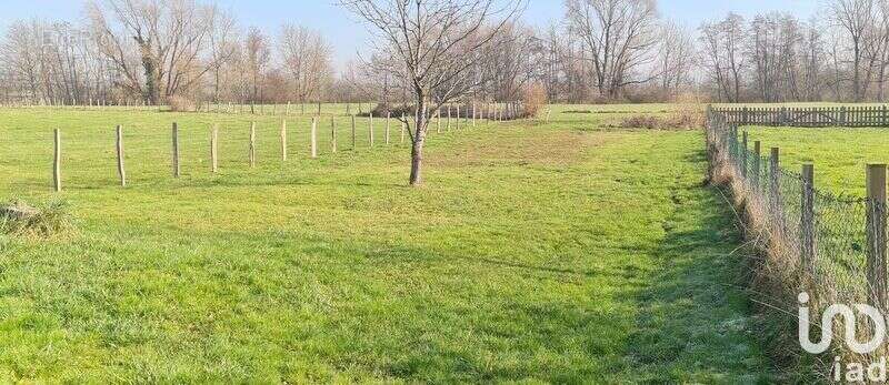 Photo 3 - Terrain à VAIVRE-ET-MONTOILLE