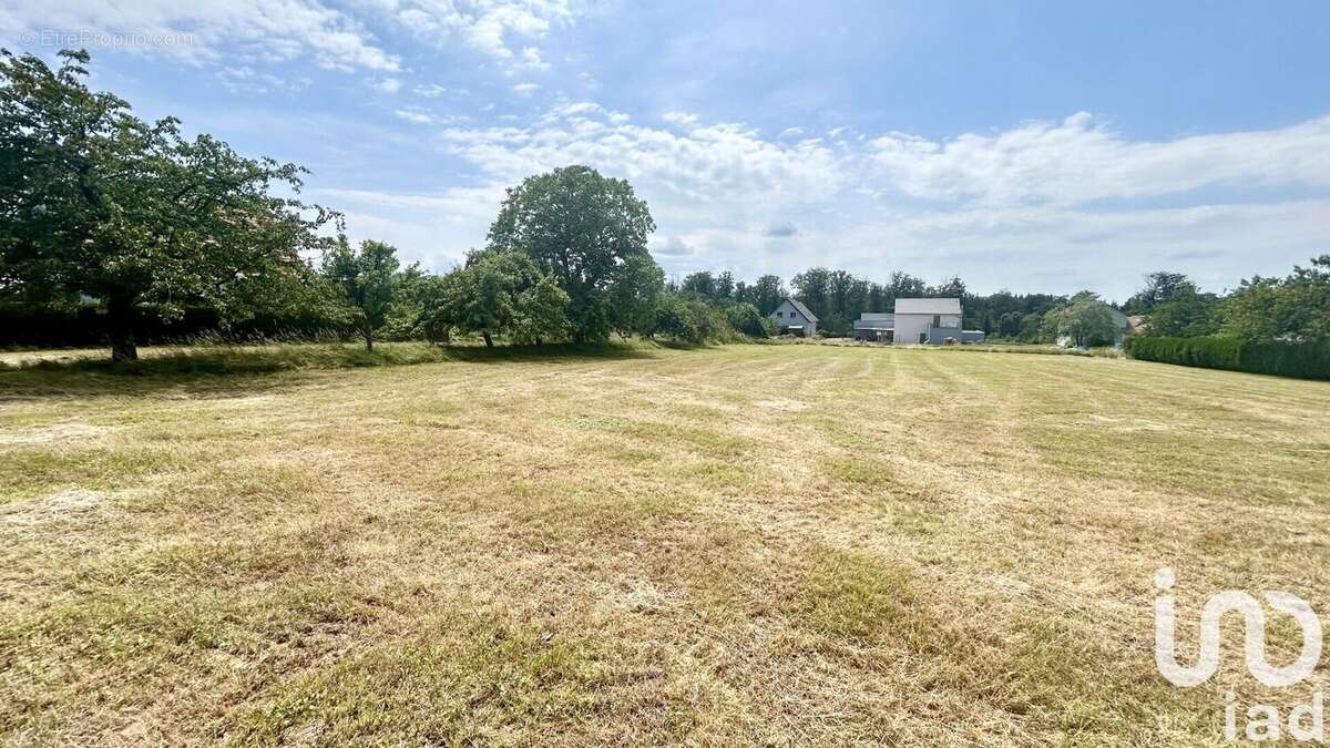 Photo 4 - Terrain à HENRIDORFF