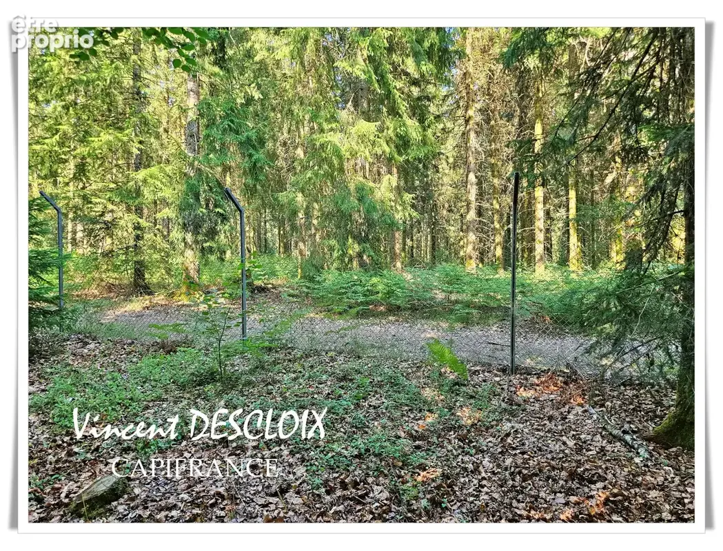 Terrain 19 965m² avec étang à vendre  GIEN SUR CURE (58230) - photo 12