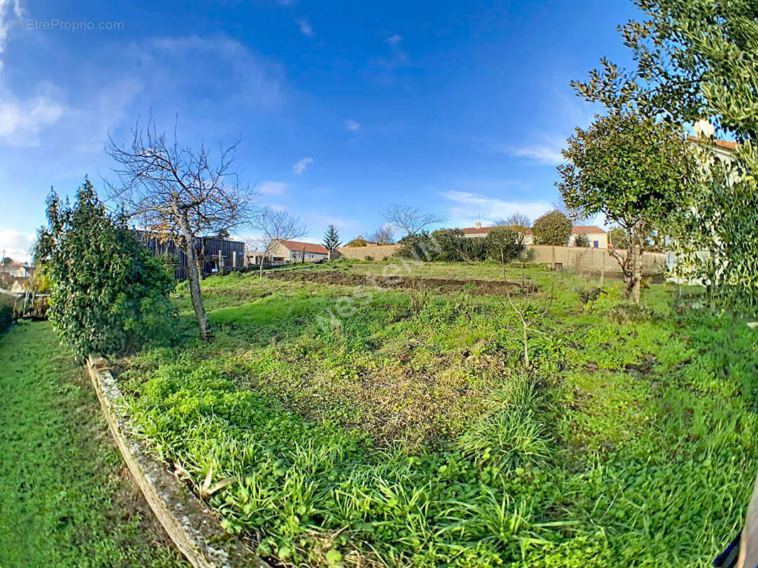 Terrain à MOUZILLON