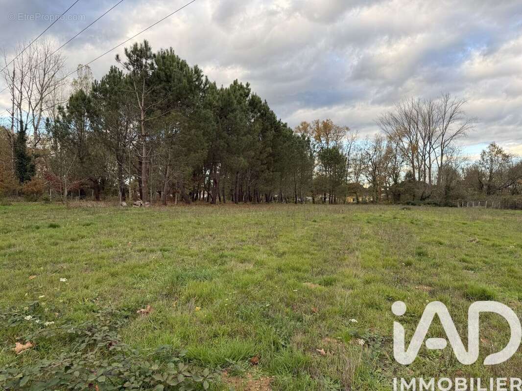 Photo 2 - Terrain à MENESPLET