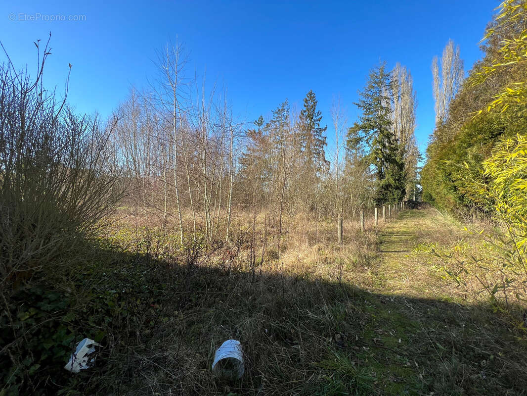 Terrain à HARGEVILLE