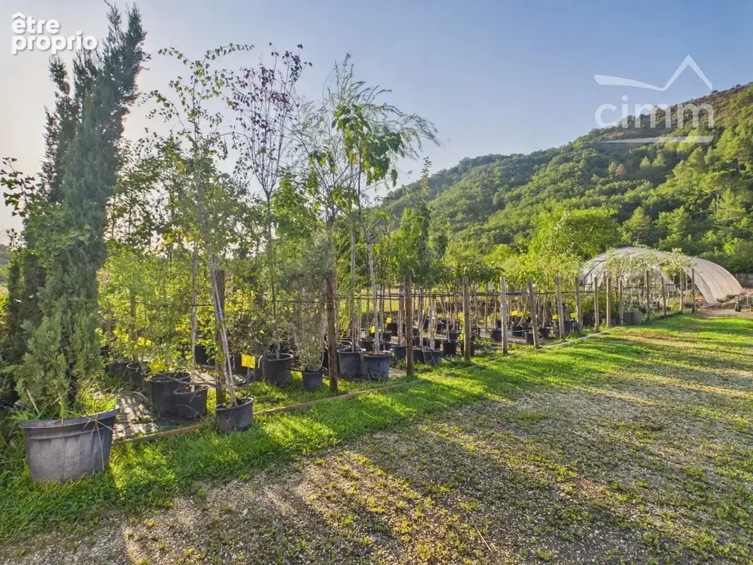 Jardinerie / Pépinière – Murs et Fonds de commerce – Sud Ardèche - photo 16