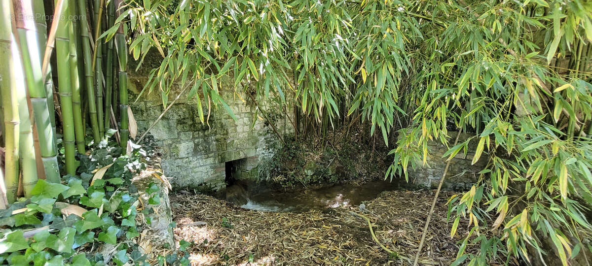 Maison à CHAMPIGNY-SUR-VEUDE