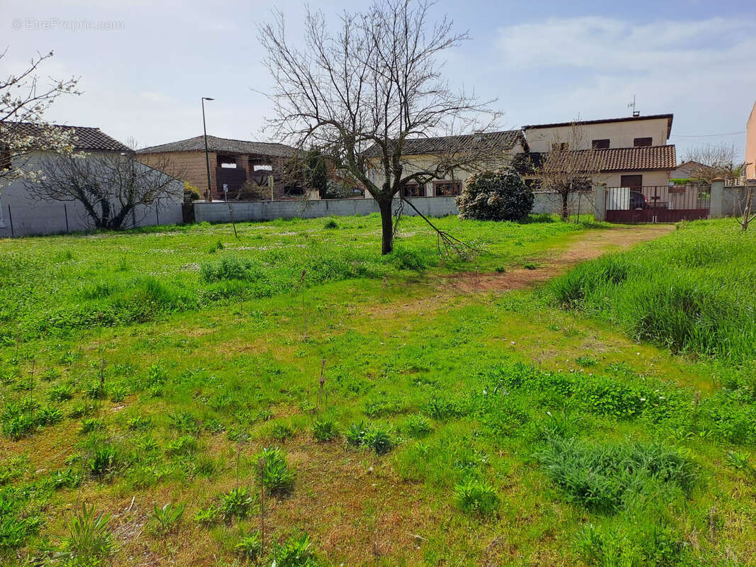 Terrain à SAINT-CLAR-DE-RIVIERE