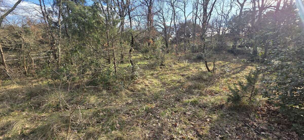 Terrain à SAINT-QUENTIN-LA-POTERIE