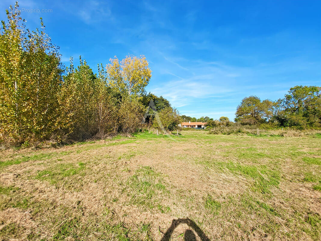 Terrain à NOTRE-DAME-DE-MONTS