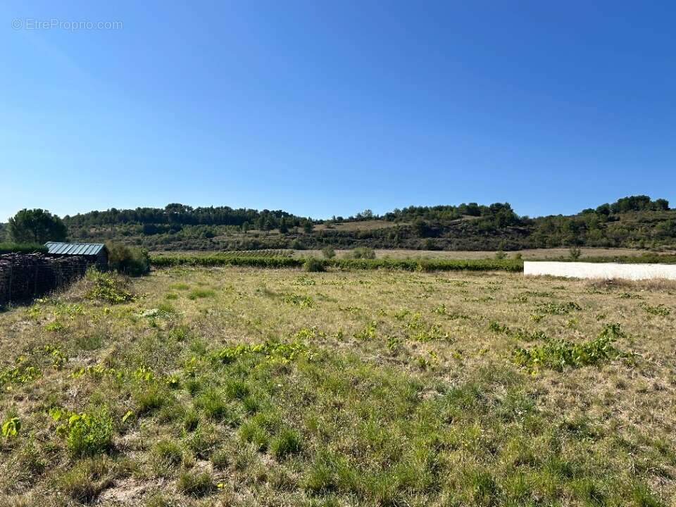 Terrain à FELINES-MINERVOIS