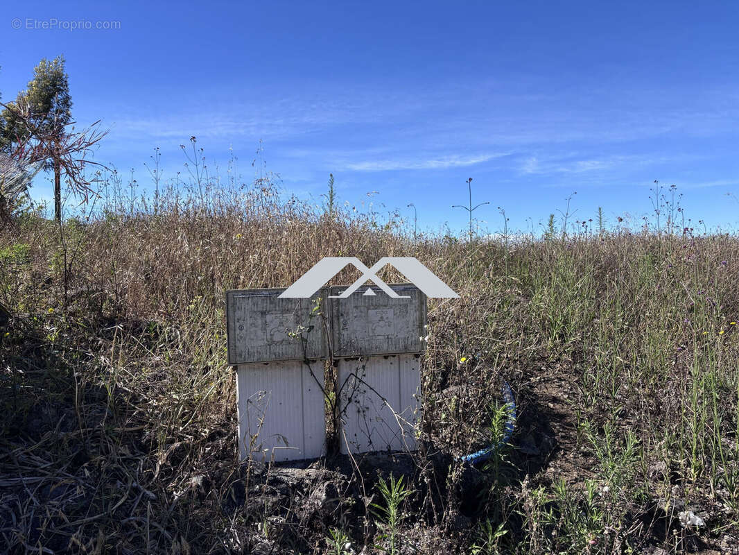 Terrain à SAINT-PIERRE