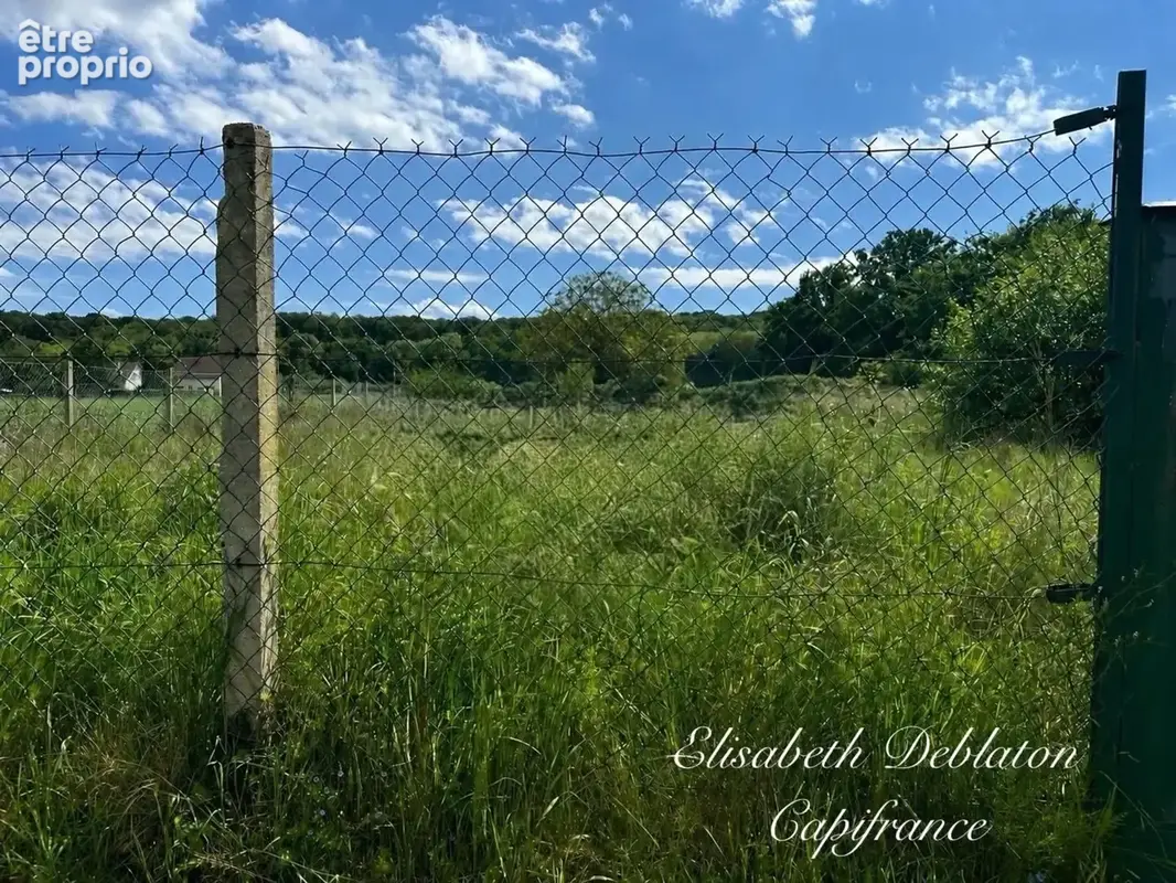 Terrain 1 006 m² – borné – viabilisé pour la vente – cuts (60) - photo 5