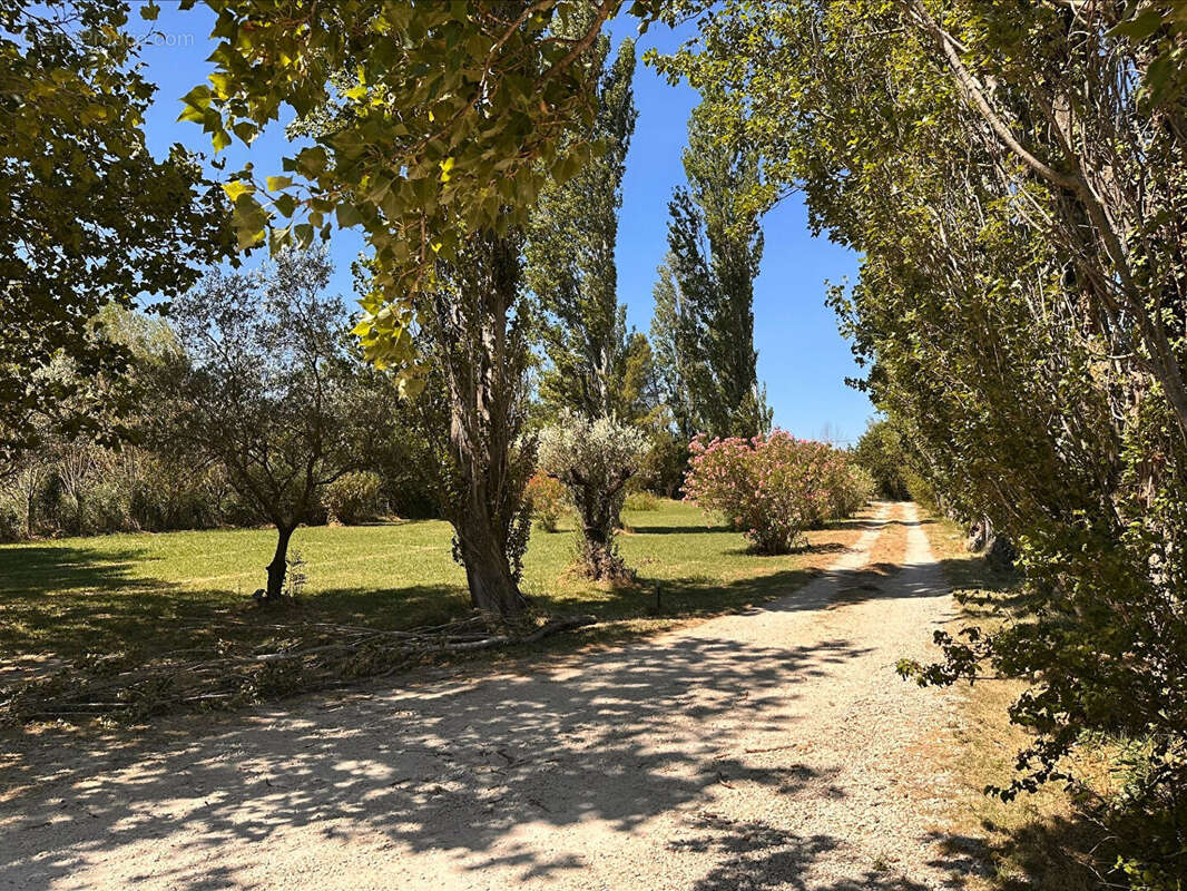 Maison à MORIERES-LES-AVIGNON