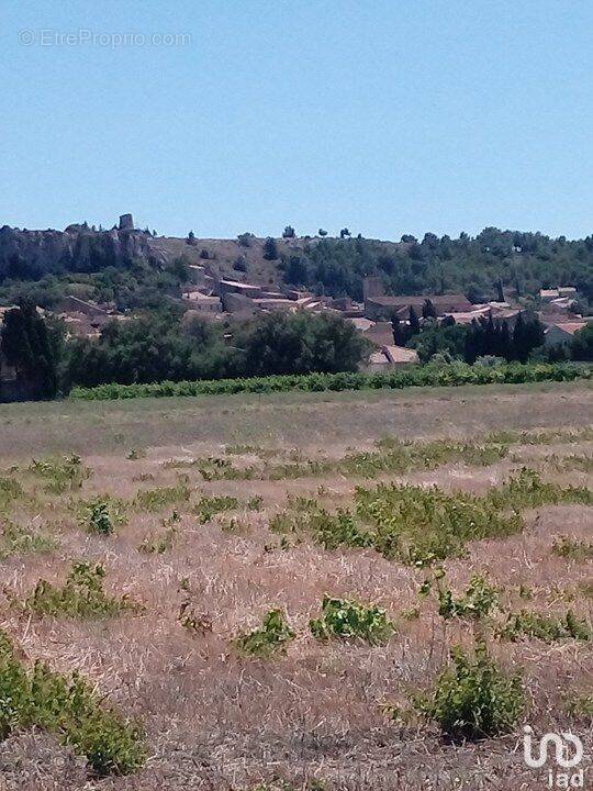 Photo 1 - Terrain à ROQUEFORT-DES-CORBIERES