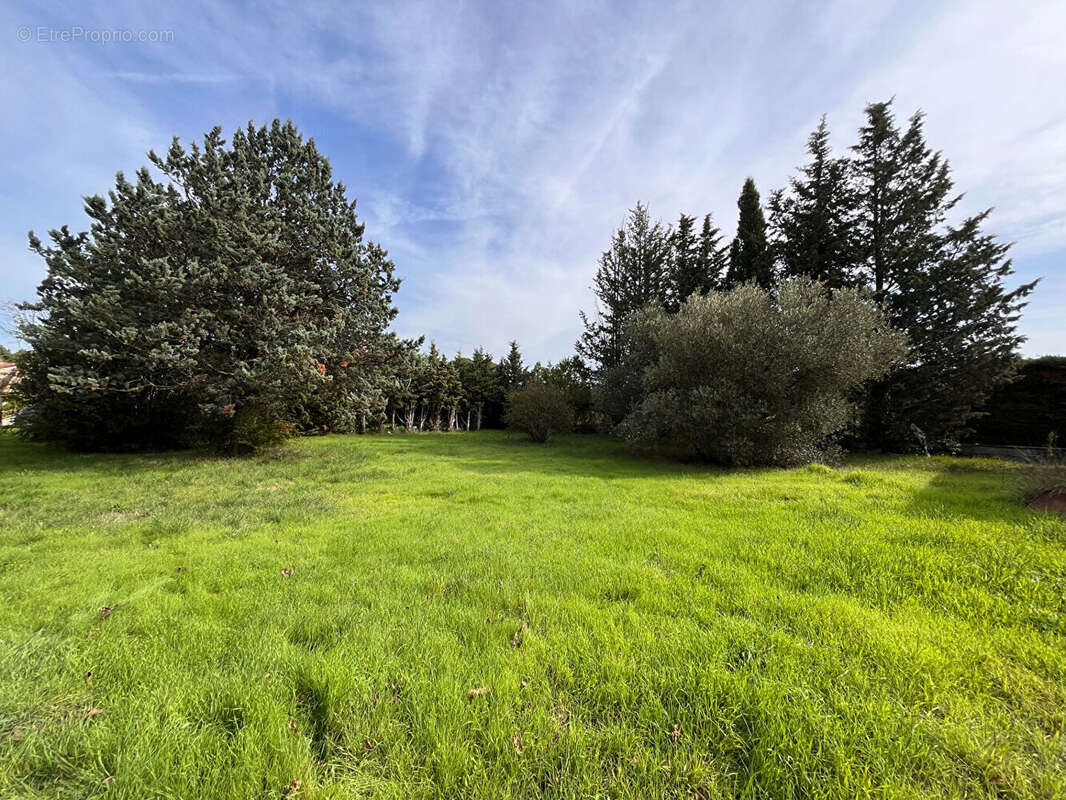 Terrain à PERNES-LES-FONTAINES