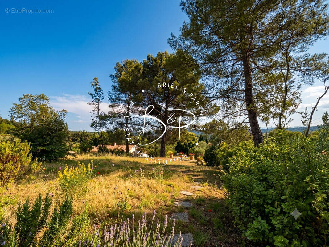 Terrain à DRAGUIGNAN