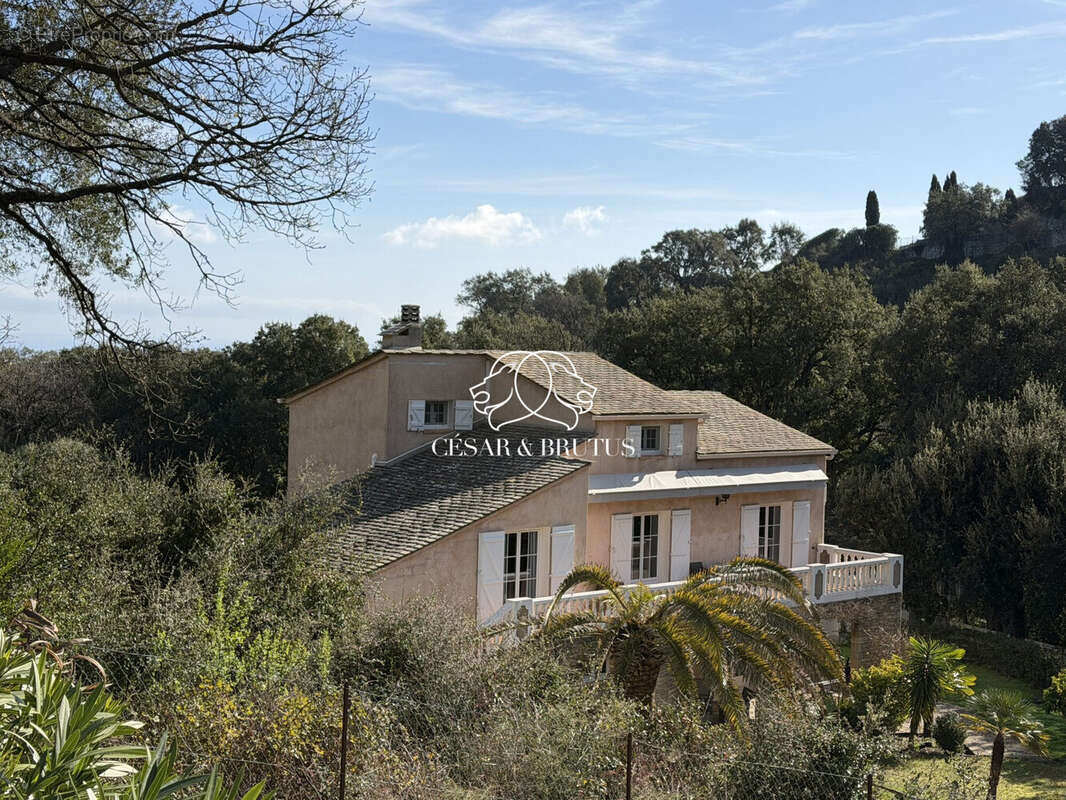 Maison à BORGO
