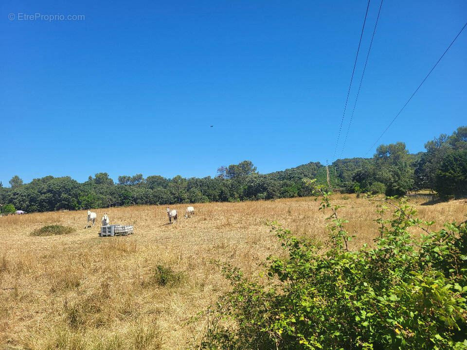 Terrain à ORTHOUX-SERIGNAC-QUILHAN