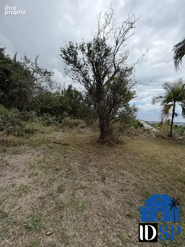 Terrain 557 m² à vendre à Saint-Paul (97411) - photo 3
