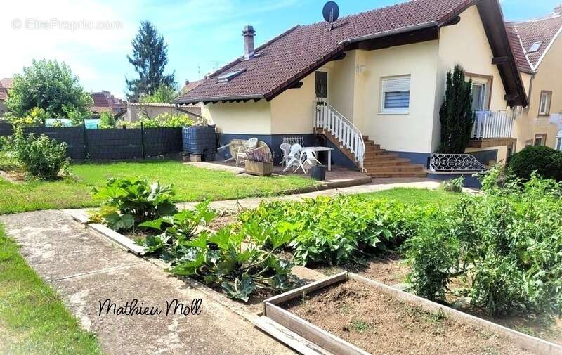 Maison à SARRE-UNION