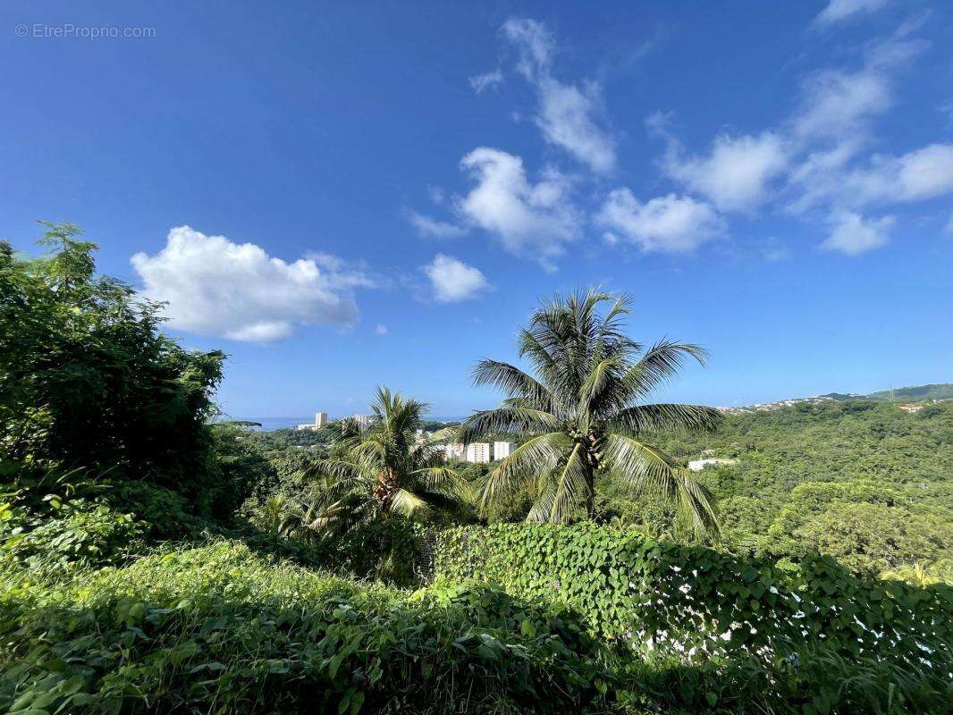 Grand terrain constructible a schoelcher - photo 2
