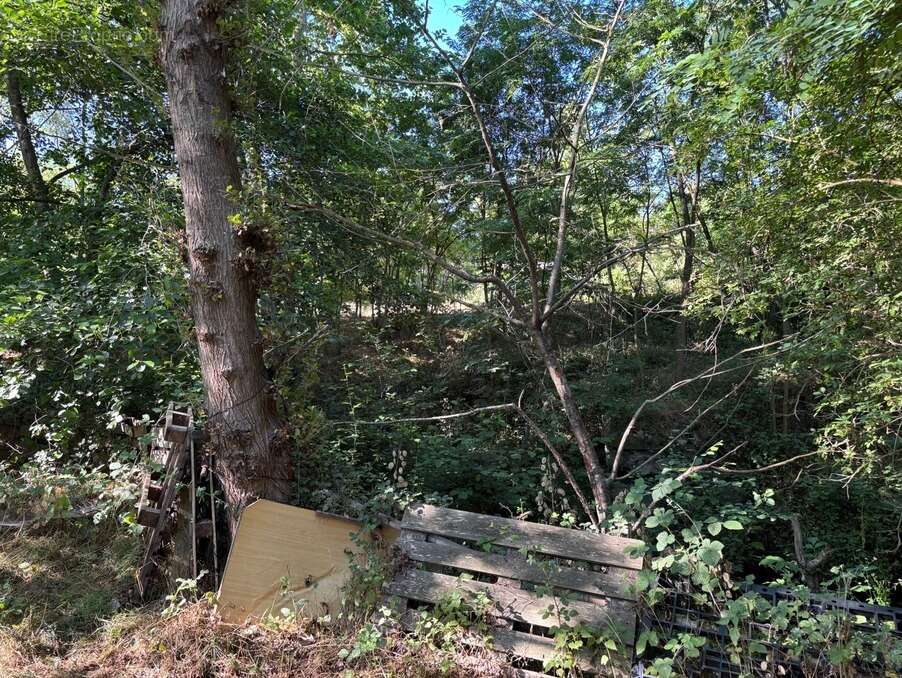 Terrain à CORNEILLA-DE-CONFLENT