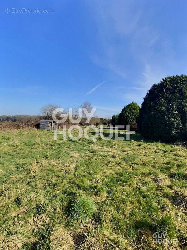 Terrain à THIBERVILLE
